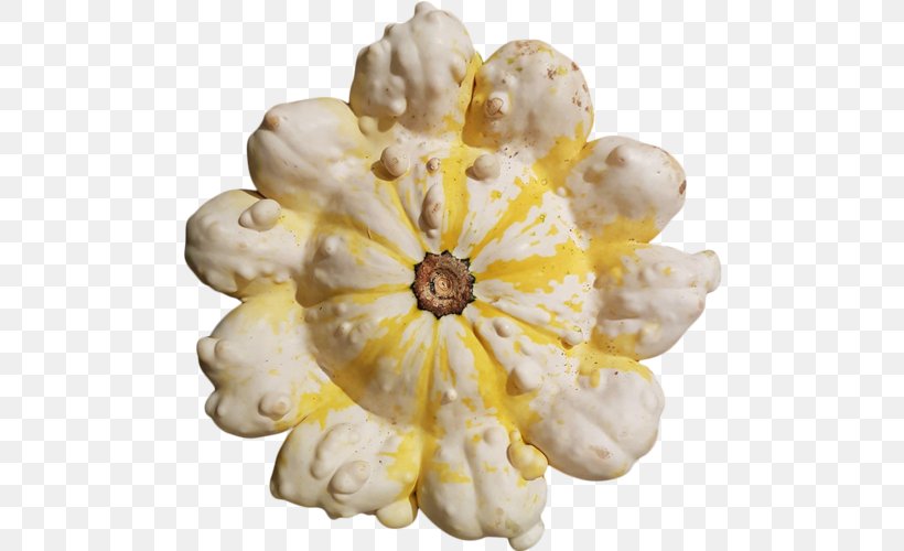 Cut Flowers Petal Fruit, PNG, 500x500px, Cut Flowers, Flower, Food, Fruit, Petal Download Free