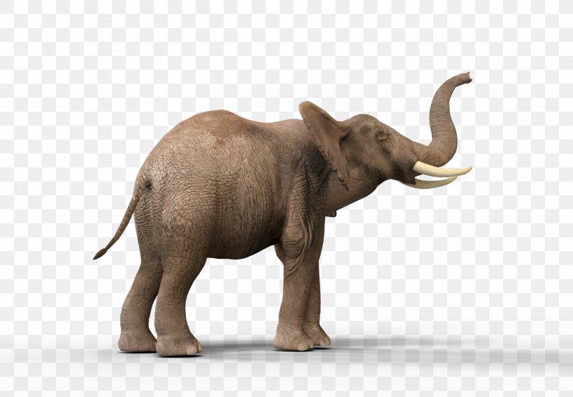 Indian Elephant African Elephant Elephantidae Tusk DeviantArt, PNG, 2500x1735px, Indian Elephant, African Elephant, Cattle Like Mammal, Desert, Deviantart Download Free