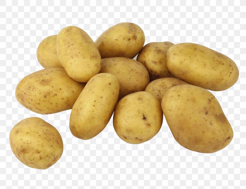 Russet Burbank Potato Fingerling Potato French Fries Vegetable Yukon Gold Potato, PNG, 970x746px, Russet Burbank Potato, Baking, Banana, Eggplant, Fingerling Potato Download Free