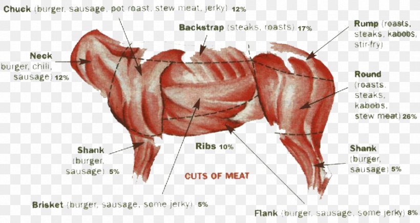 Venison Deer Hunting Meat Beef Tenderloin, PNG, 896x476px, Watercolor, Cartoon, Flower, Frame, Heart Download Free