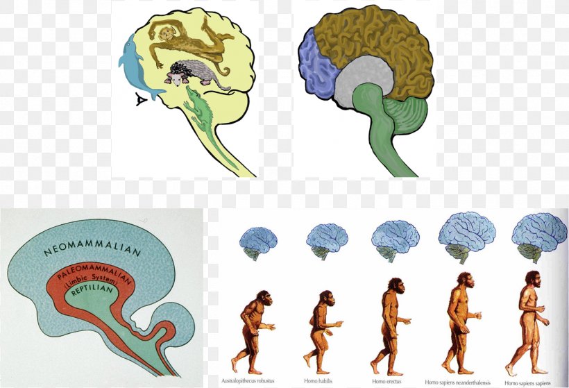 Neanderthal Brain Size Human Brain Human Evolution, PNG, 1370x935px, Watercolor, Cartoon, Flower, Frame, Heart Download Free