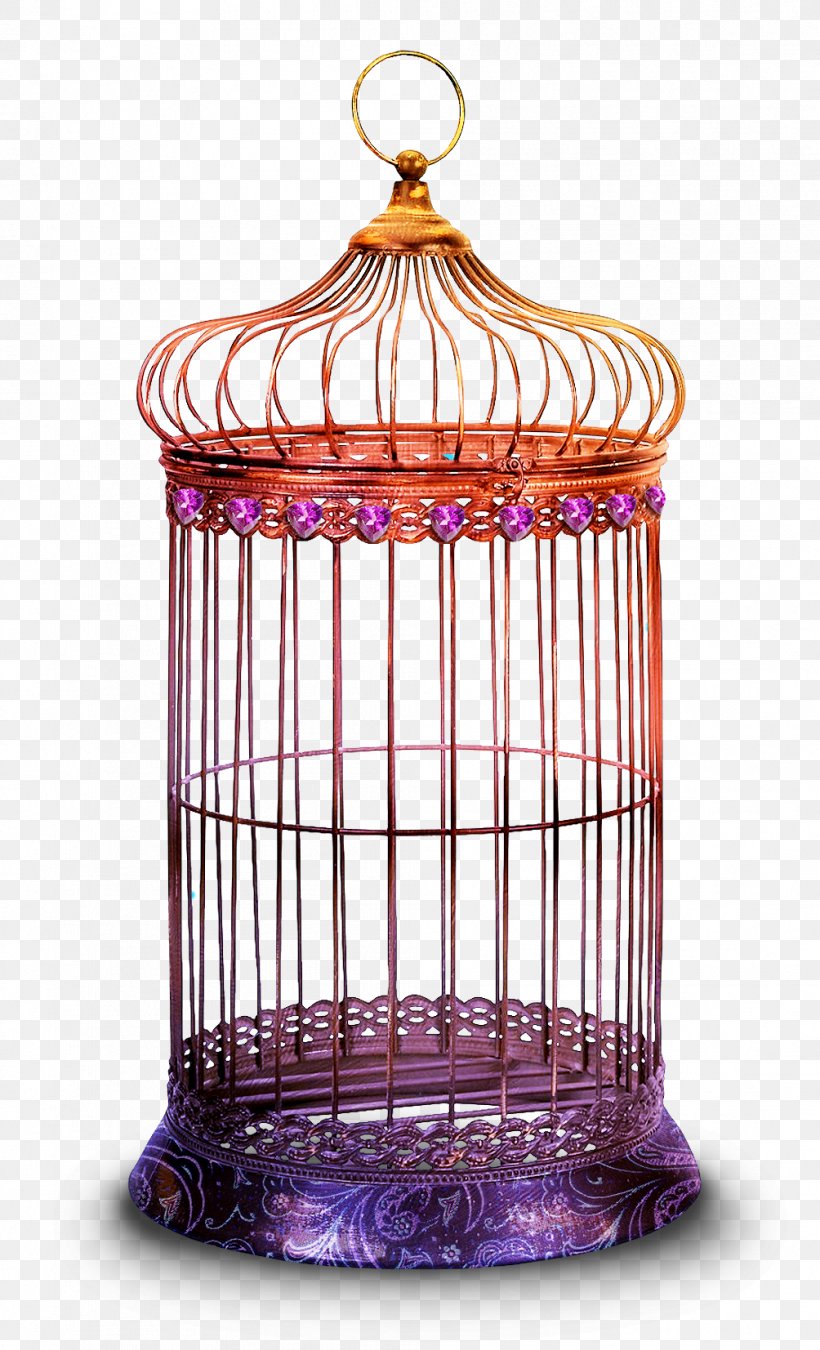 Birdcage Parrot Wedding, PNG, 1004x1653px, Birdcage, Bird, Cage, Centrepiece, Decorative Arts Download Free