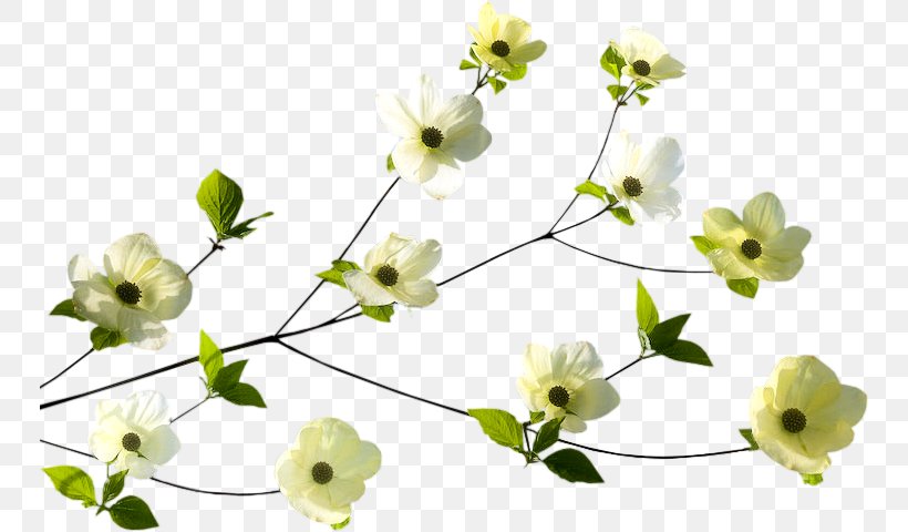 Floral Design Drawing Illustrator, PNG, 750x480px, Floral Design, Art, Blossom, Branch, Cut Flowers Download Free