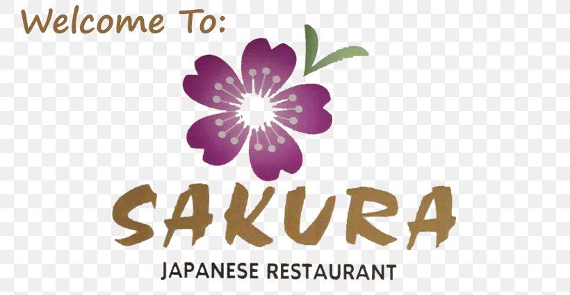 Japanese Cuisine Sakura Japanese Restaurant Food Samurai Japanese Restaurant, PNG, 785x425px, Japanese Cuisine, Brand, Cuisine, Culinary Arts, Dining Room Download Free