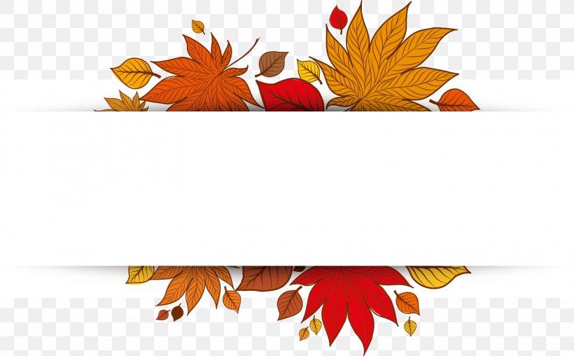 Maple Leaf, PNG, 1572x974px, Leaf, Autumn, Maple Leaf, Orange, Plant Download Free