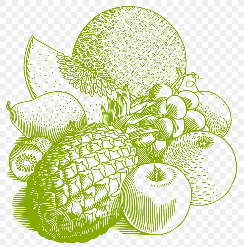 T-shirt Fruit Drawing Clip Art, PNG, 2374x2400px, Tshirt, Auglis, Berry, Citrus, Drawing Download Free