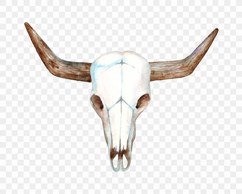 Texas Longhorn Cows Skull: Red, White, And Blue Bull, PNG, 5000x4000px, Texas Longhorn, Antler, Bone, Bull, Cattle Download Free