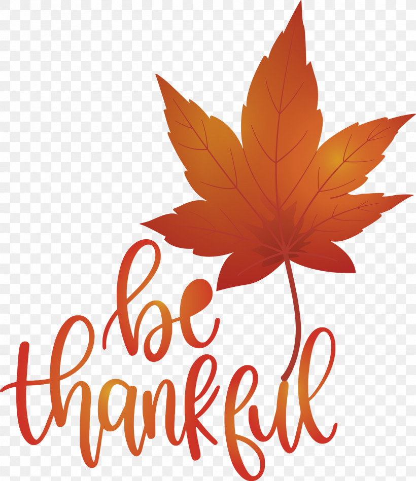 Thanksgiving Be Thankful Give Thanks, PNG, 2592x3000px, Thanksgiving, Be Thankful, Biology, Flower, Give Thanks Download Free