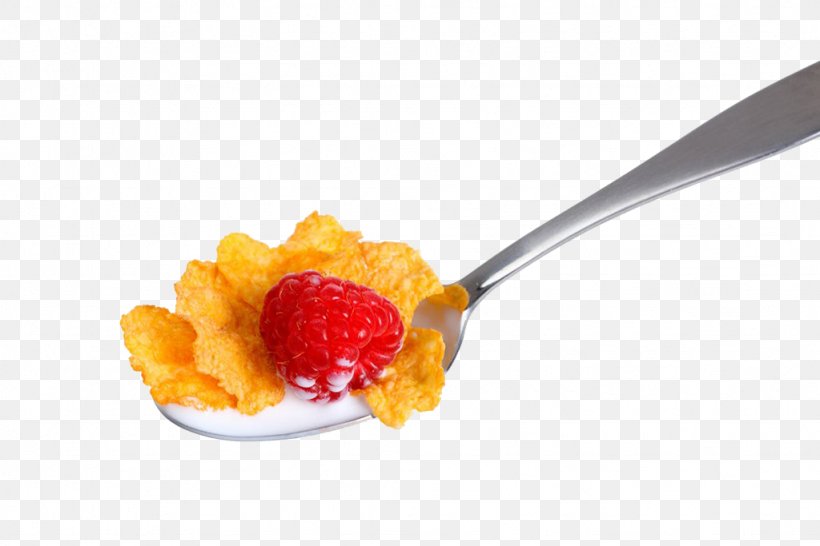 Breakfast Cereal Corn Flakes Spoon Milk, PNG, 1024x683px, Breakfast Cereal, Banco De Imagens, Bowl, Breakfast, Cereal Download Free