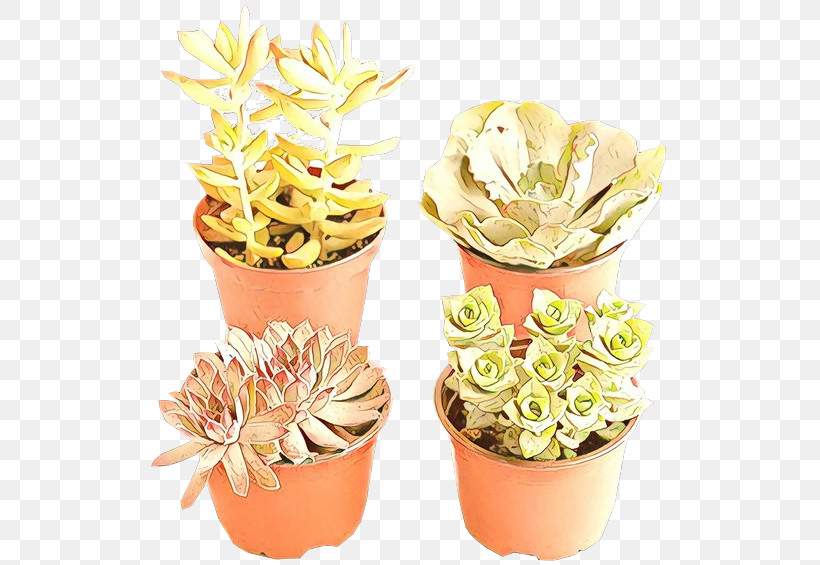 Flowerpot Flower Echeveria Plant Cut Flowers, PNG, 521x565px, Flowerpot, Cut Flowers, Echeveria, Flower, Houseplant Download Free