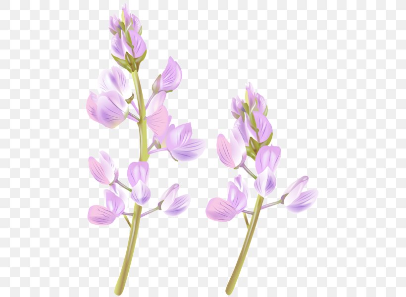 Image Clip Art Flower Photograph, PNG, 477x600px, Flower, Art Museum, Birthday, Botany, Branch Download Free