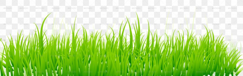 Lawn Green Royalty-free, PNG, 3000x944px, Lawn, Art, Chrysopogon Zizanioides, Commodity, Drawing Download Free