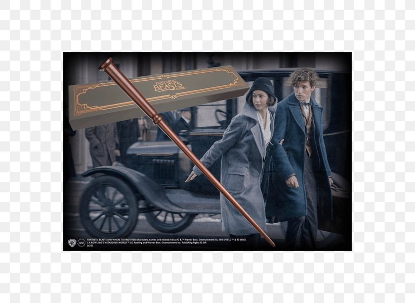 Newt Scamander Fantastic Beasts And Where To Find Them Film Series Fictional Universe Of Harry Potter, PNG, 600x600px, Newt Scamander, Car, Cinema, Eddie Redmayne, Fictional Universe Of Harry Potter Download Free