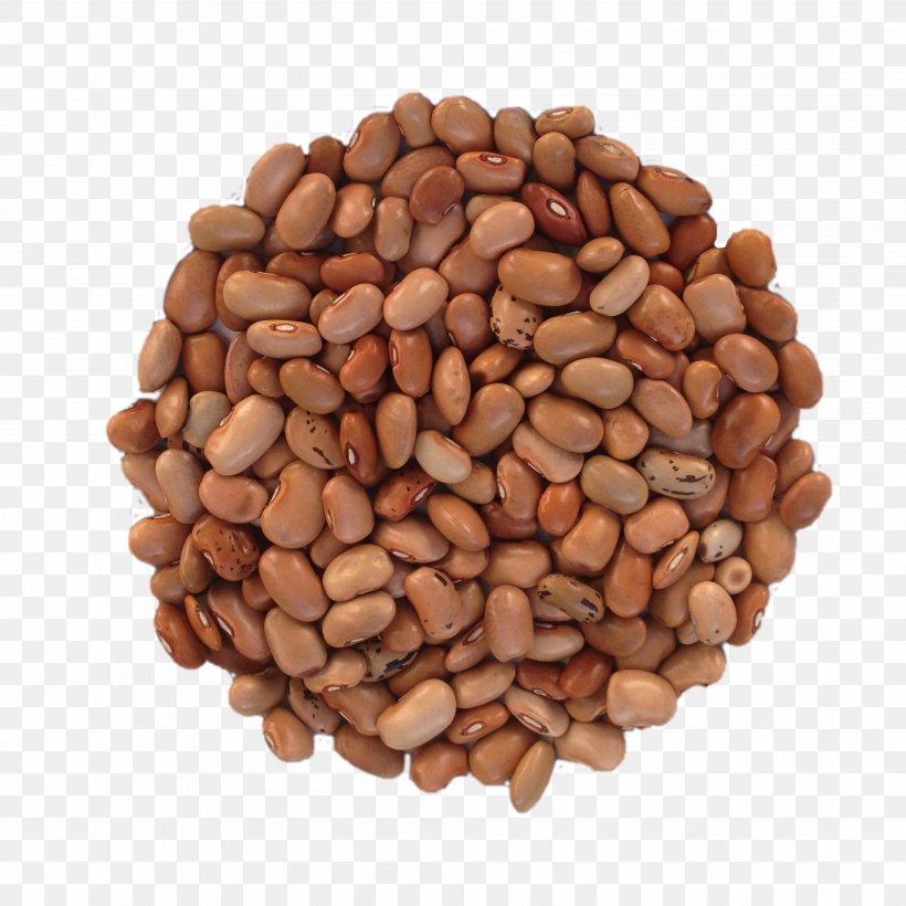 Pea Nut Legumes Bean Seed, PNG, 4016x4016px, Pea, Bean, Budi Daya, Commodity, Cultivar Download Free