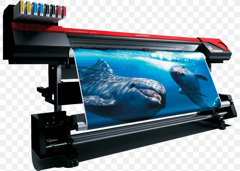 Roland Corporation Roland DG Printing Plotter Business, PNG, 800x585px, Roland Corporation, Advertising, Automotive Exterior, Business, Chart Download Free