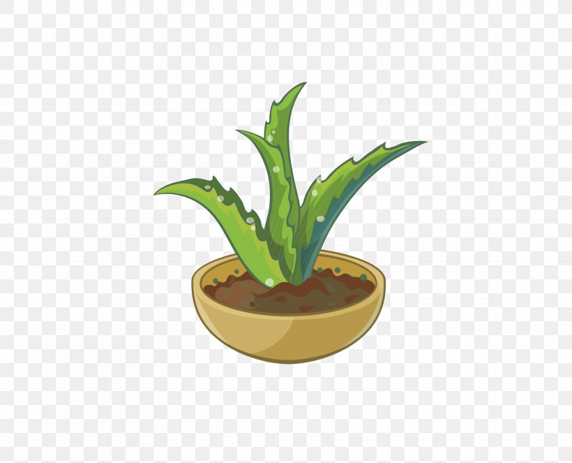 Aloe Cartoon, PNG, 3541x2867px, Aloe, Ananas, Art, Cactaceae, Cartoon Download Free