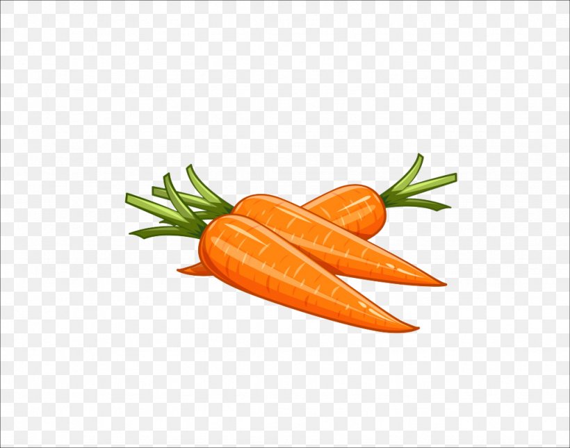 Carrot Clip Art, PNG, 1024x806px, Carrot, Baby Carrot, Food, Fruit, Garnish Download Free
