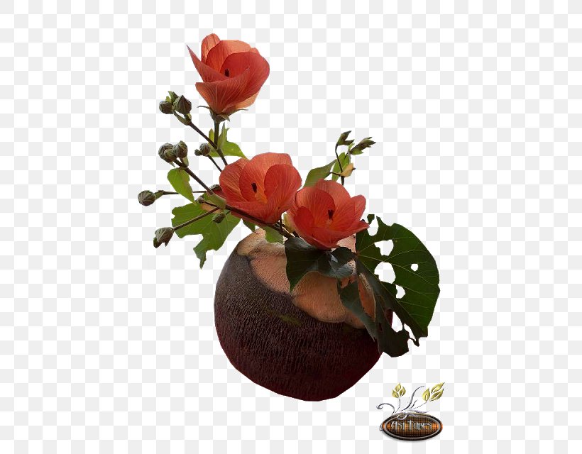 Garden Roses Kaattu Vannu Kallane Pole Cut Flowers Floral Design, PNG, 480x640px, Watercolor, Cartoon, Flower, Frame, Heart Download Free
