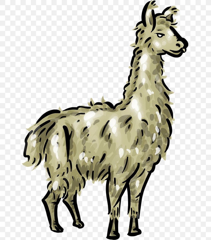 Llama Clip Art, PNG, 649x931px, Llama, Black And White, Camel Like Mammal, Cartoon, Drawing Download Free