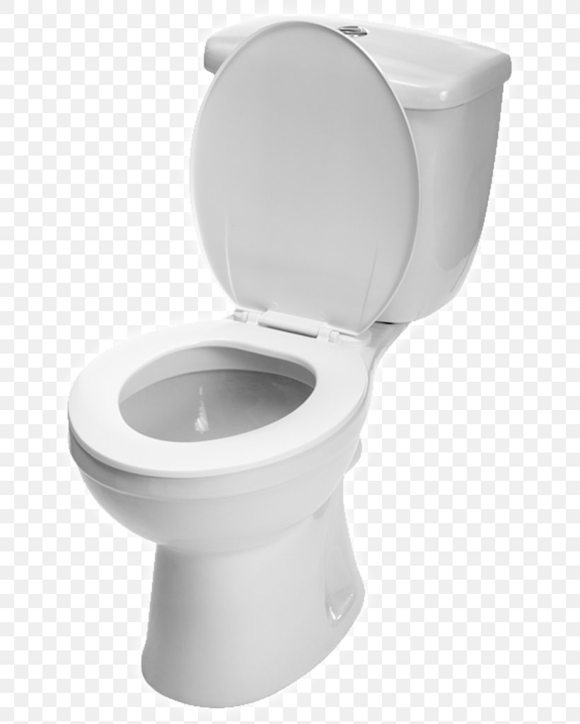 Toilet & Bidet Seats Flush Toilet Toilet Cleaner Toilet Brushes & Holders, PNG, 671x1024px, Toilet, Bathroom, Bowl, Cleaner, Cleaning Download Free