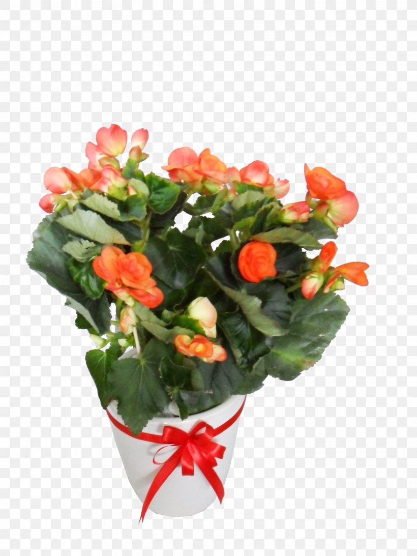 Garden Roses Flowerpot Floral Design Artificial Flower, PNG, 2736x3648px, Garden Roses, Annual Plant, Artificial Flower, Begonia, Cut Flowers Download Free