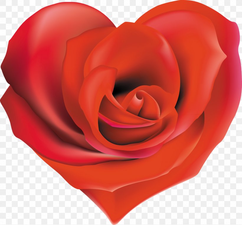 Rose Desktop Wallpaper Clip Art, PNG, 1214x1128px, Rose, Close Up, Cut Flowers, Digital Image, Floribunda Download Free