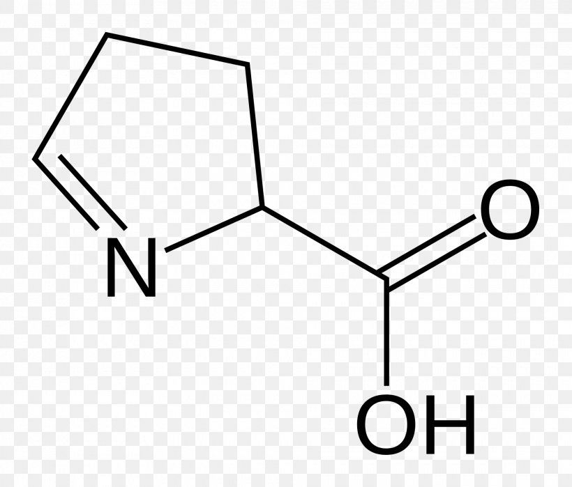 1-Pyrroline-5-carboxylic Acid Amino Acid Amine, PNG, 1920x1637px, 1pyrroline5carboxylic Acid, Carboxylic Acid, Acid, Amine, Amino Acid Download Free