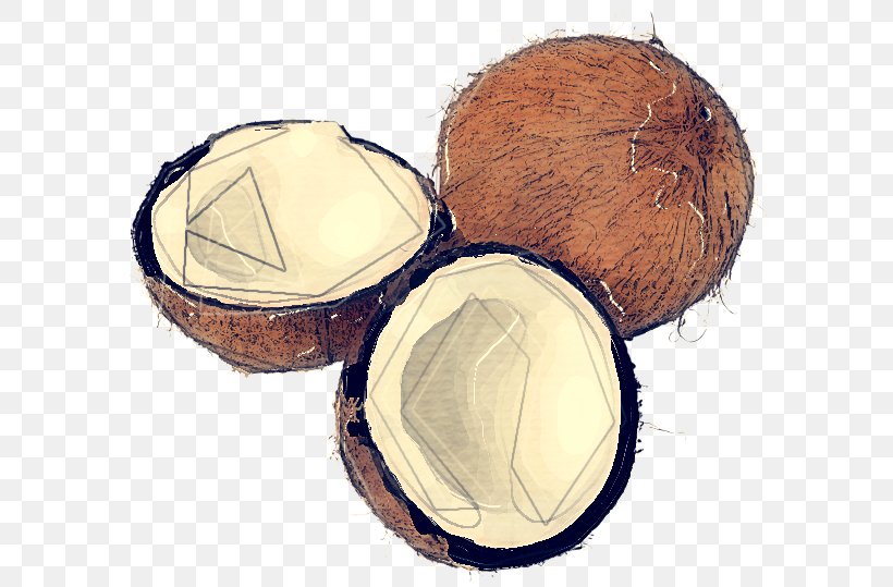 Coconut, PNG, 600x539px, Coconut, Plant Download Free