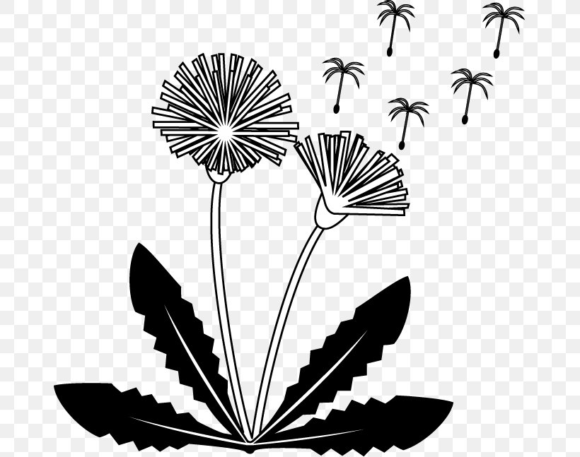 Common Dandelion Petal Flower Drawing, PNG, 667x647px, Common Dandelion, Black And White, Dandelion, Drawing, Eye Download Free