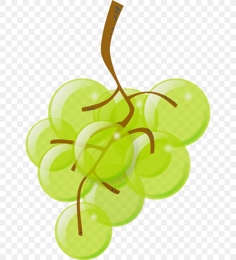 Common Grape Vine Wine Juice Clip Art, PNG, 642x900px, Common Grape Vine, Branch, Flowering Plant, Food, Fruit Download Free