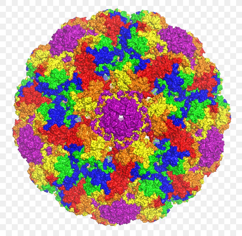 Major Capsid Protein VP1 Murine Polyomavirus Pentamer, PNG, 800x800px, Major Capsid Protein Vp1, Capsid, Dna Virus, Genome, Icosahedron Download Free