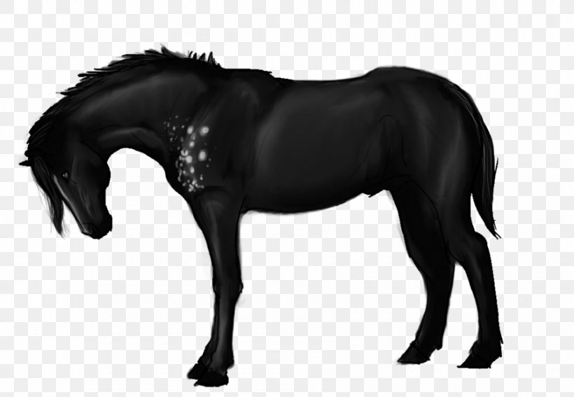 Mane Mustang Stallion Pony Halter, PNG, 900x623px, Mane, Bit, Black, Black And White, Black M Download Free