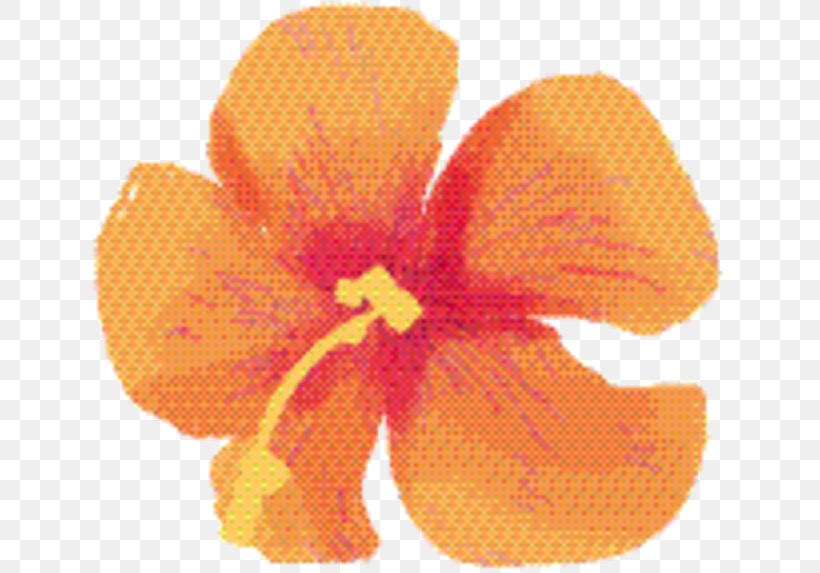 Orange Flower, PNG, 647x573px, Rosemallows, Flower, Flowering Plant, Iris, Orange Download Free
