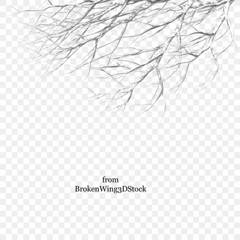 Branch Tree Trunk Winter Clip Art, PNG, 894x894px, Branch, Artwork, Black And White, Diagram, Drawing Download Free