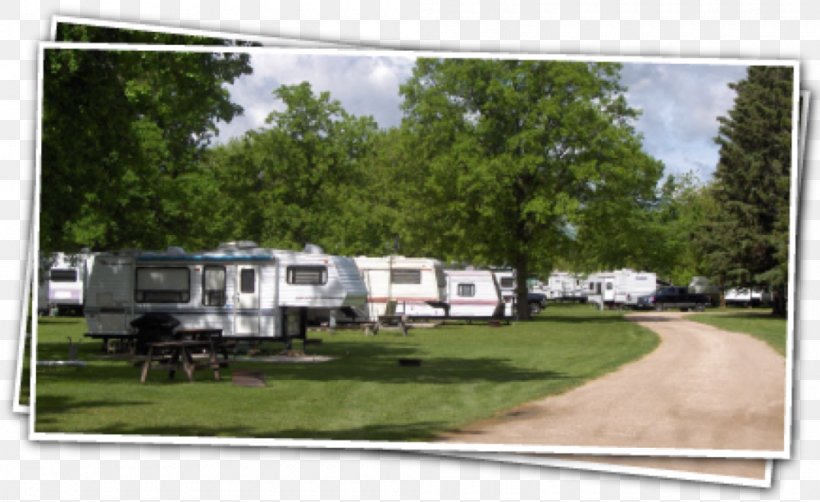 Campervans Baudette Campsite Lake Of Woods Campground Zippel Bay, PNG, 1000x613px, Campervans, Automotive Exterior, Camping, Campsite, Car Download Free
