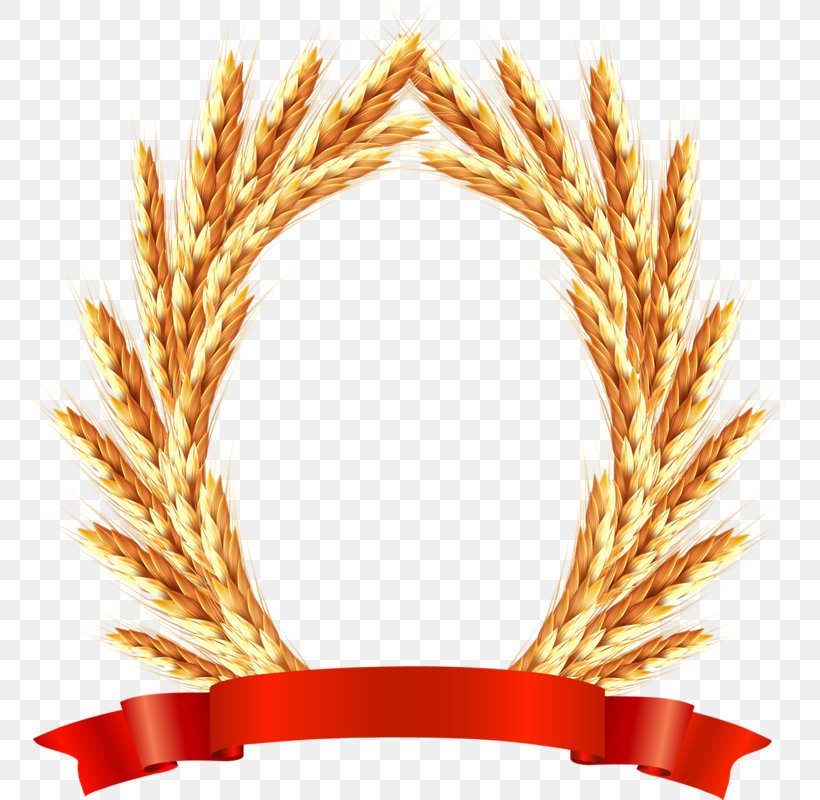 Ear Wheat Clip Art, PNG, 761x800px, Ear, Commodity, Digital Image, Food Grain, Grass Family Download Free