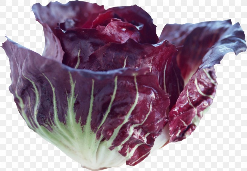 Red Cabbage Vegetable Food, PNG, 1773x1232px, Red Cabbage, Artichoke, Brassica Oleracea, Cabbage, Celery Download Free