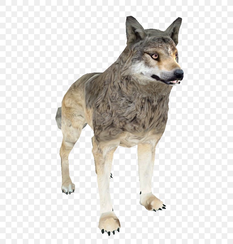 Shivering Isles Saarloos Wolfdog Czechoslovakian Wolfdog The Elder Scrolls III: Morrowind Coyote, PNG, 538x858px, Shivering Isles, Alaskan Tundra Wolf, Animal, Canidae, Canis Lupus Tundrarum Download Free