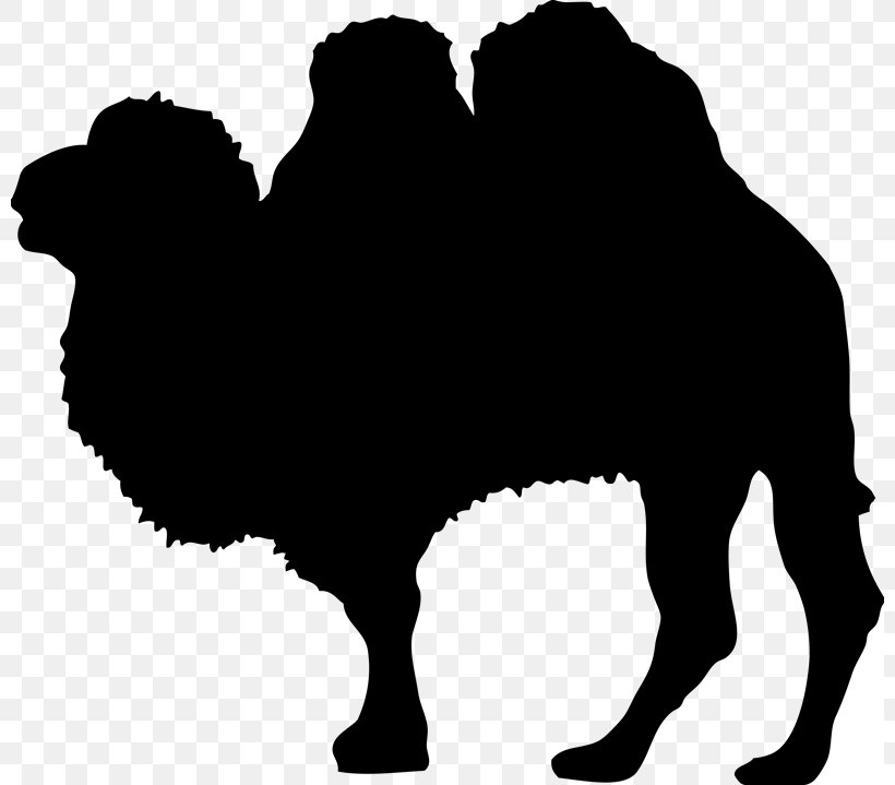 Camel Silhouette Wildlife Clip Art, PNG, 800x719px, Camel, Animal, Black, Black And White, Camel Like Mammal Download Free