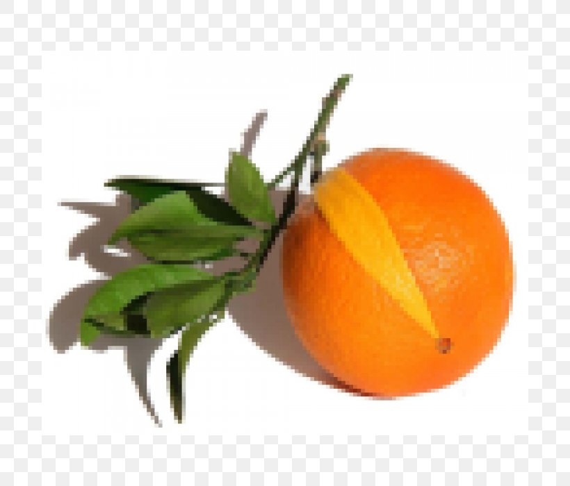 Clementine Bitter Orange Tangerine Mandarin Orange, PNG, 700x700px, Clementine, Bitter Orange, Bitterness, Bitters, Chenpi Download Free