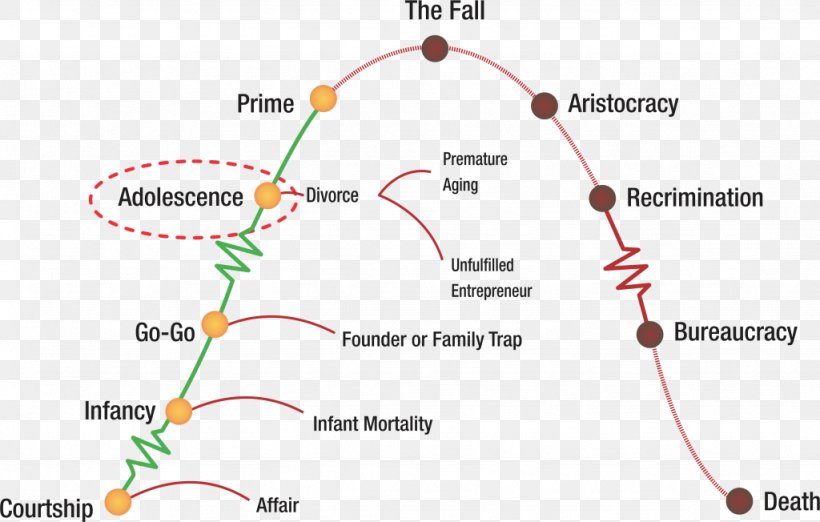 Corporate Life Cycles Organizational Life Cycle Biological Life Cycle Managing Corporate Lifecycles, PNG, 1024x652px, Organizational Life Cycle, Area, Biological Life Cycle, Business, Business Development Download Free