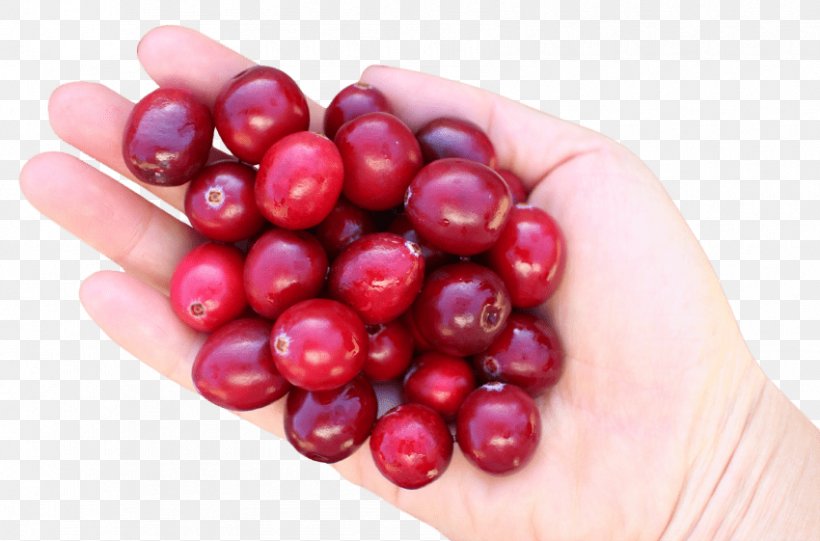Cranberry Fruit Cherry, PNG, 850x561px, Cranberry, Berry, Cherry, Drink, Food Download Free