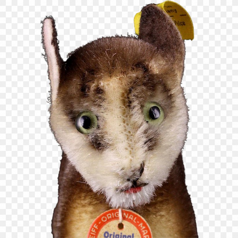 Whiskers Cat Fur Fauna Snout, PNG, 1019x1019px, Whiskers, Cat, Cat Like Mammal, Fauna, Fur Download Free