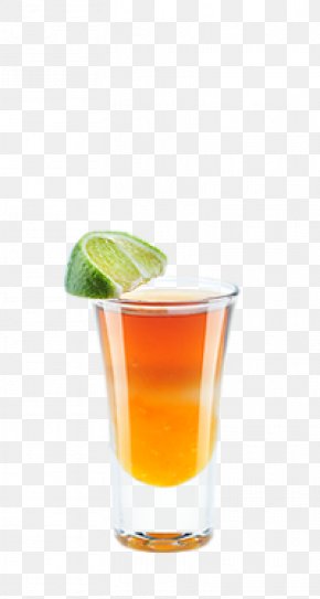 Cocktail Garnish Orange Juice Tea, PNG, 2649x7000px, Fizzy Drinks ...
