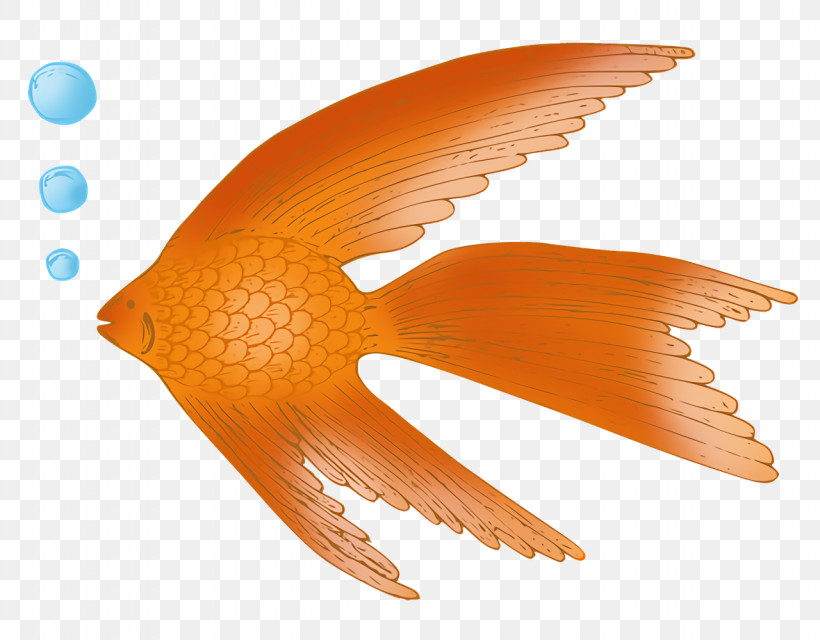 Fish Beak Tail Biology Science, PNG, 1280x1000px, Fish, Beak, Biology, Science, Tail Download Free