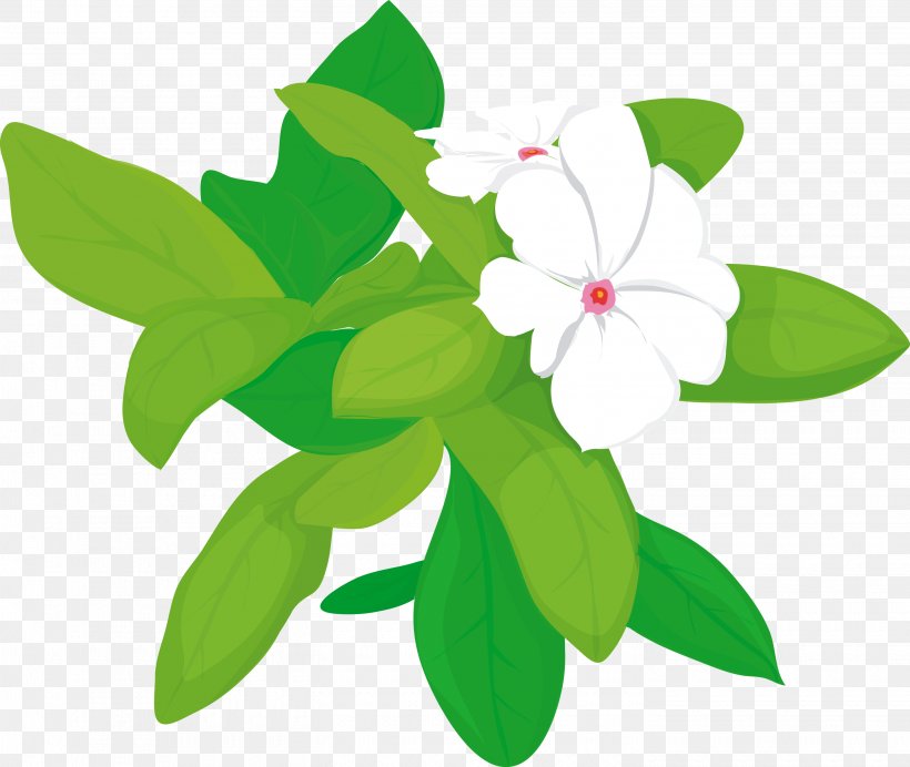 Princess Jasmine Arabian Jasmine Flower, PNG, 2900x2448px, Princess Jasmine, Arabian Jasmine, Bud, Drawing, Flower Download Free
