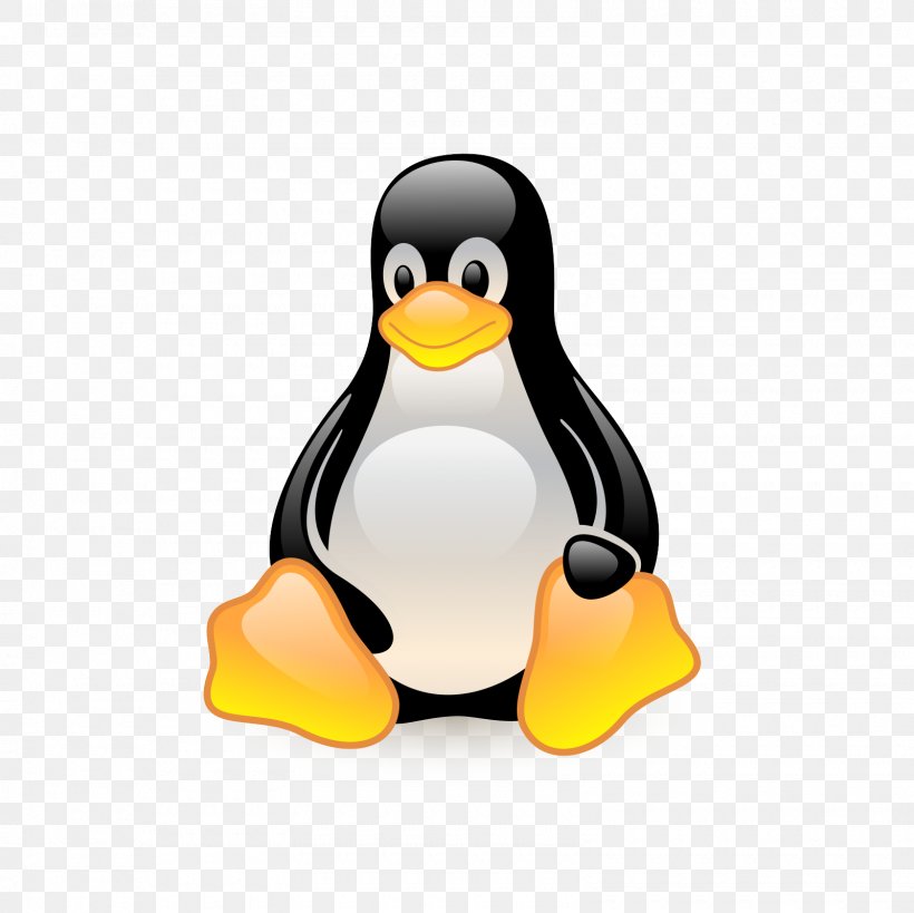 Tuxedo Linux Operating Systems Computer Software, PNG, 1600x1600px, Tux, Beak, Bird, Computer Software, File System Download Free