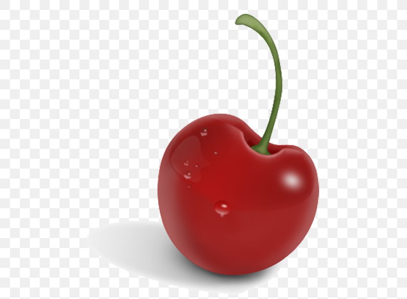 Cherry Download Clip Art, PNG, 500x603px, Watercolor, Cartoon, Flower, Frame, Heart Download Free