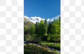 Imprint - Hotel-Pension Hauser Wilderness Vegetation Mount Scenery Land Lot PNG