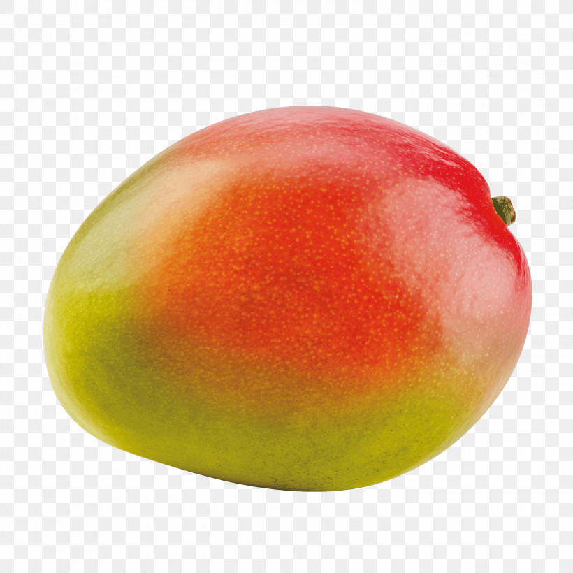 Mango, PNG, 2800x2800px, Fruit, Drupe, Food, Mangifera, Mango Download Free